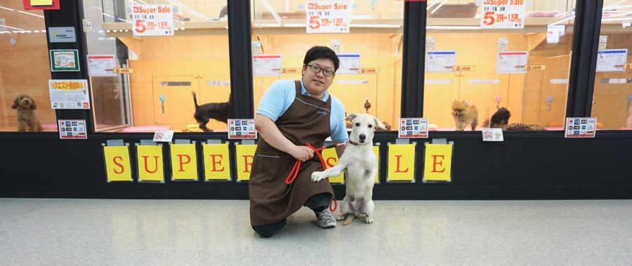 ドッグトレーナー兼鎌ヶ谷店サブリーダーの豊福さん - マルワン鎌ヶ谷店