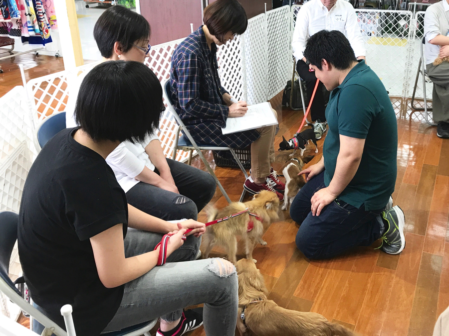 パピー教室開催