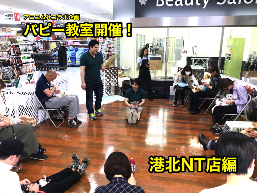 【パピー教室開催報告！】アニコム損保&マルワンコラボイベント！港北NT店編