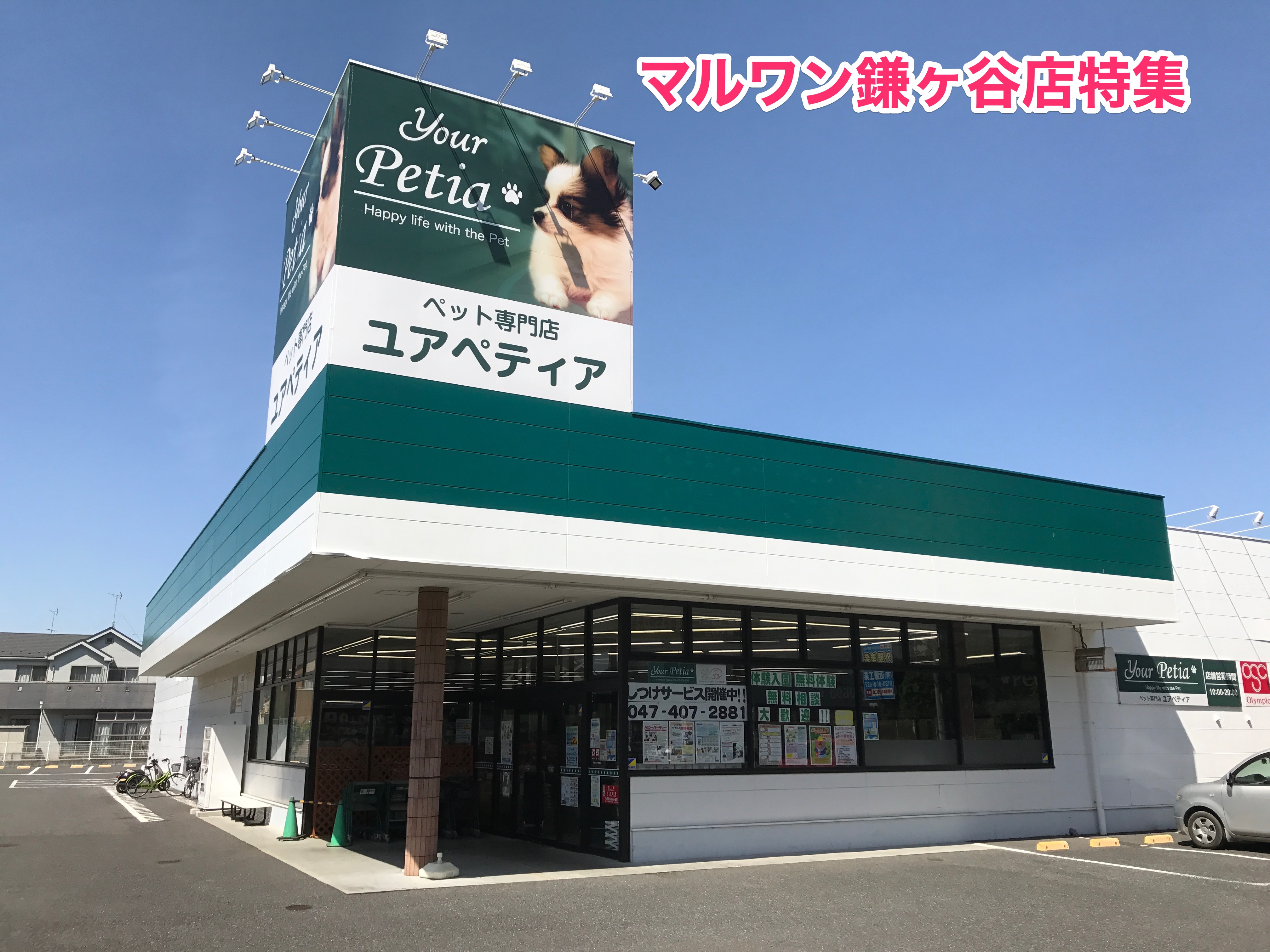 【店舗紹介】トレーニングのメッカ！マルワン鎌ヶ谷店はこんなお店！