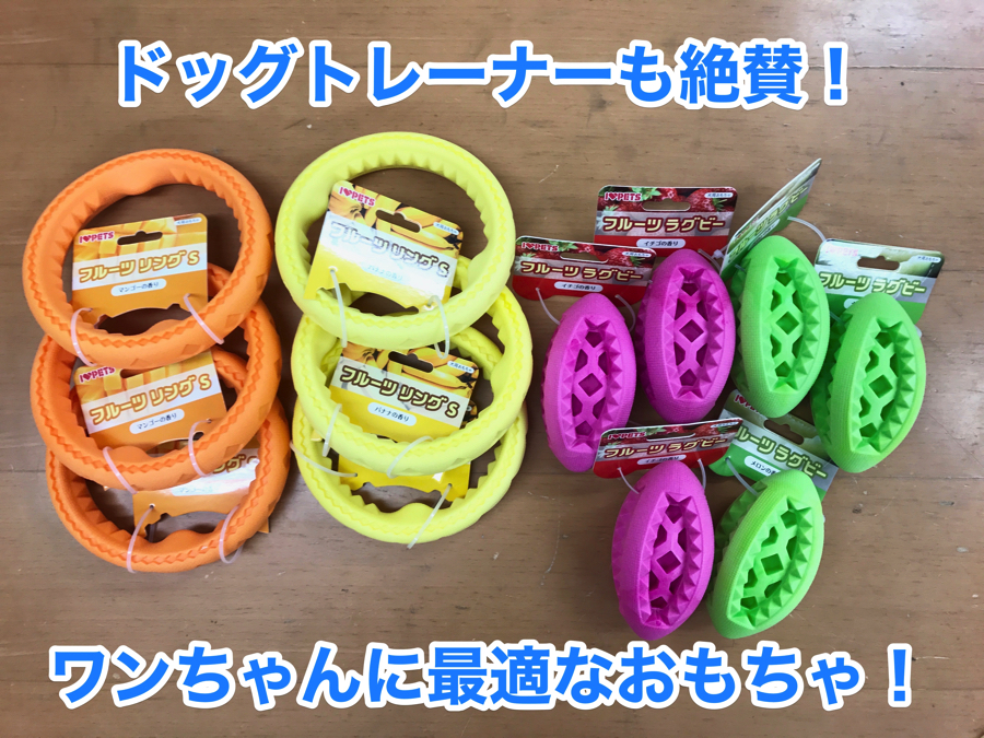 【ワンちゃんおもちゃ紹介】すでに爆売れ！ドッグトレーナーも欲しがる最高のおもちゃが新登場！☆フルーツラグビーボール☆のご紹介！
