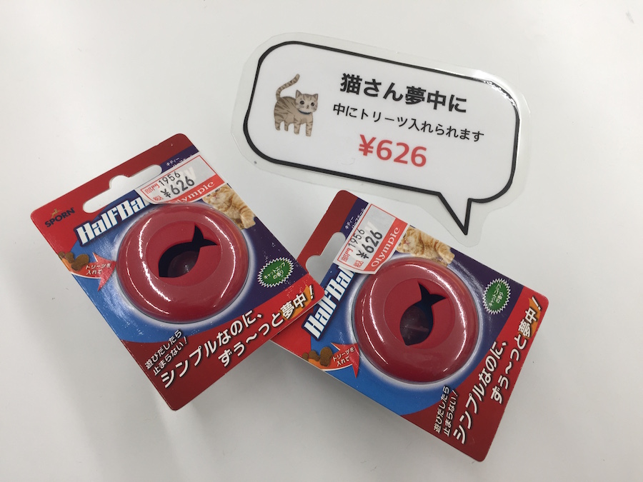 アメリカンショートヘア - マルワン港北NT店