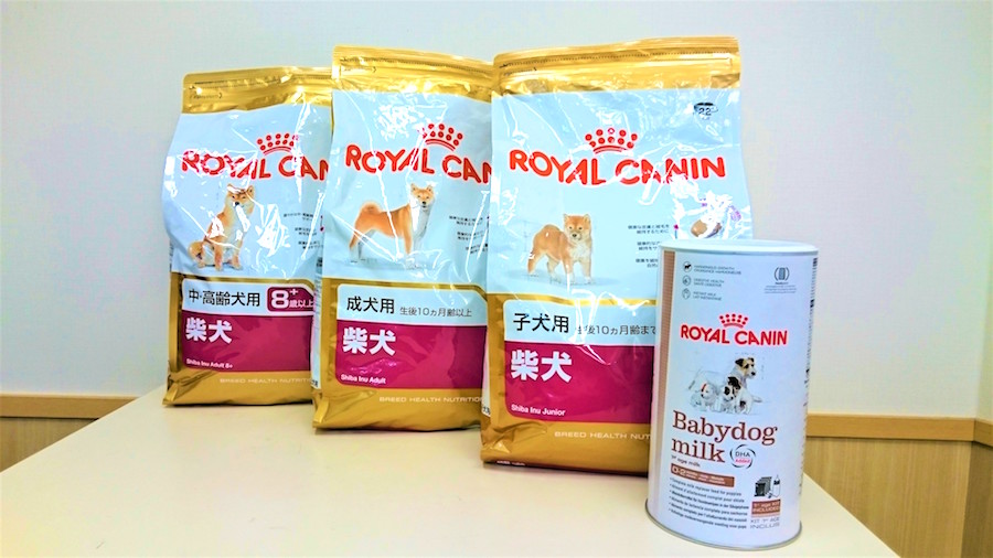 豆柴 - 柴犬 - マルワン白楽店