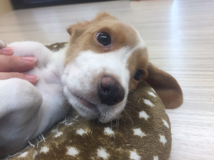 マルワン今宿店ではアフターサポートはもちろん、ビフォアーサポートも行っています | マルワン今宿店