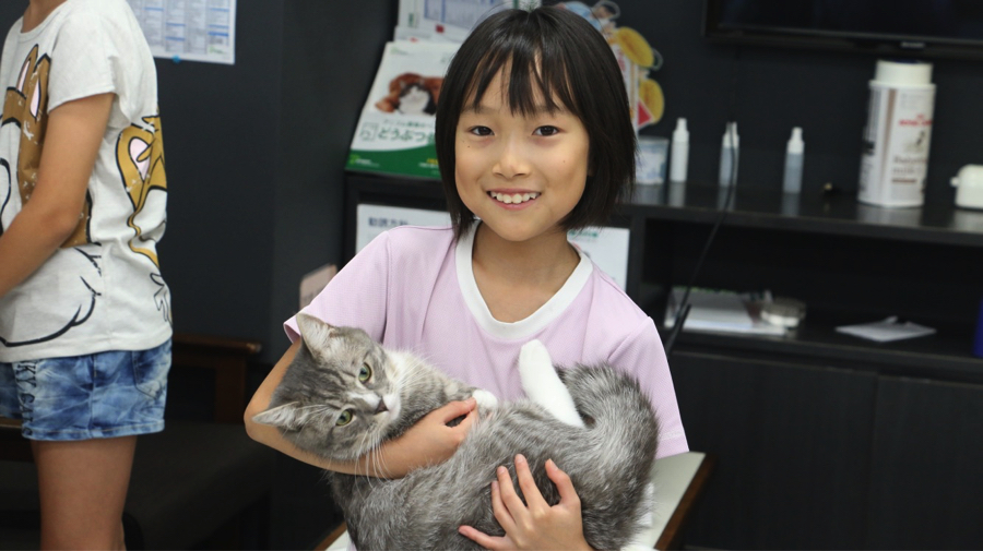 人馴れに関してはほぼパーフェクト | マンチカン - マルワン梅島店