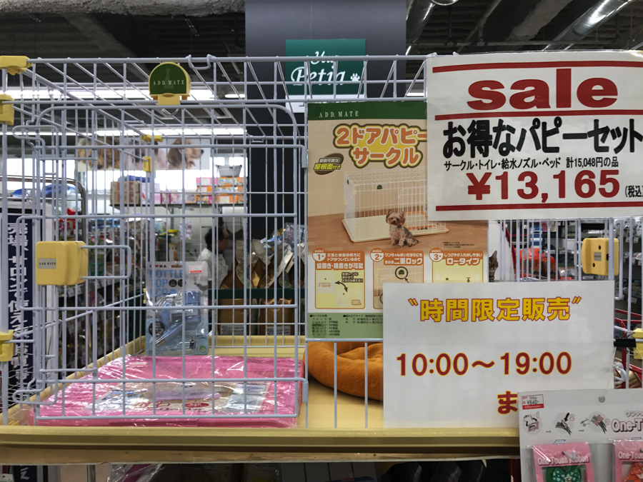 チワワ - マルワン梅島店