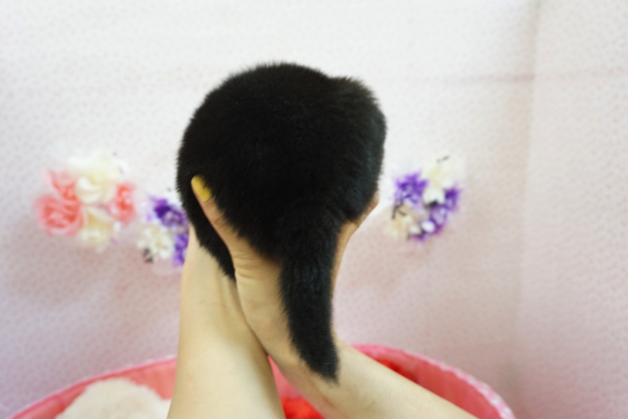 黒柴 柴犬 - マルワン大倉山店