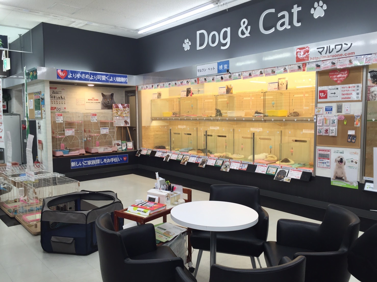 港北NT店SALE INFORMATION