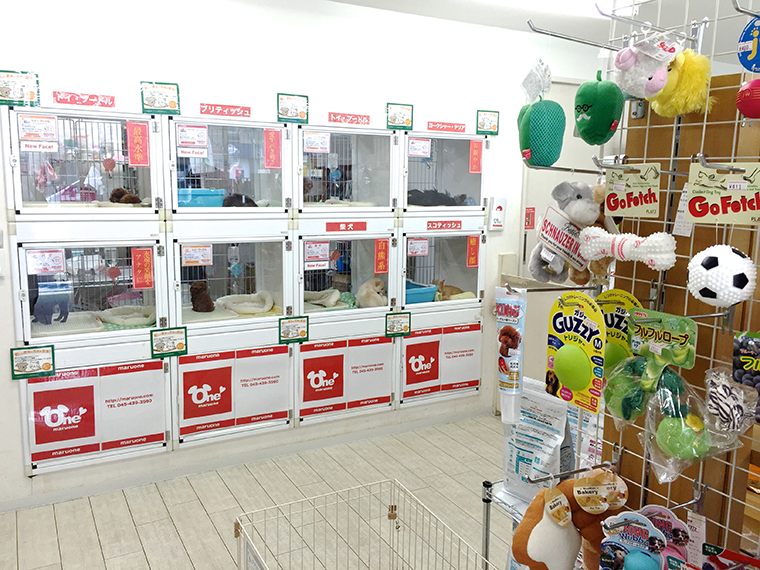 白楽店 | 【スーパーセール追加開催!】白楽店・城山店・本羽田店・志村坂下店