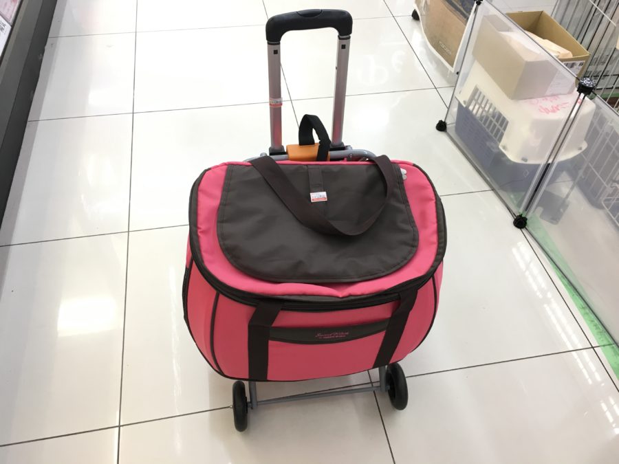 ✦ラスト1個は誰の手に…✦ | 【期間限定】わんにゃん商品30％OFFの大特価!大倉山店のおすすめ商品をご紹介☆