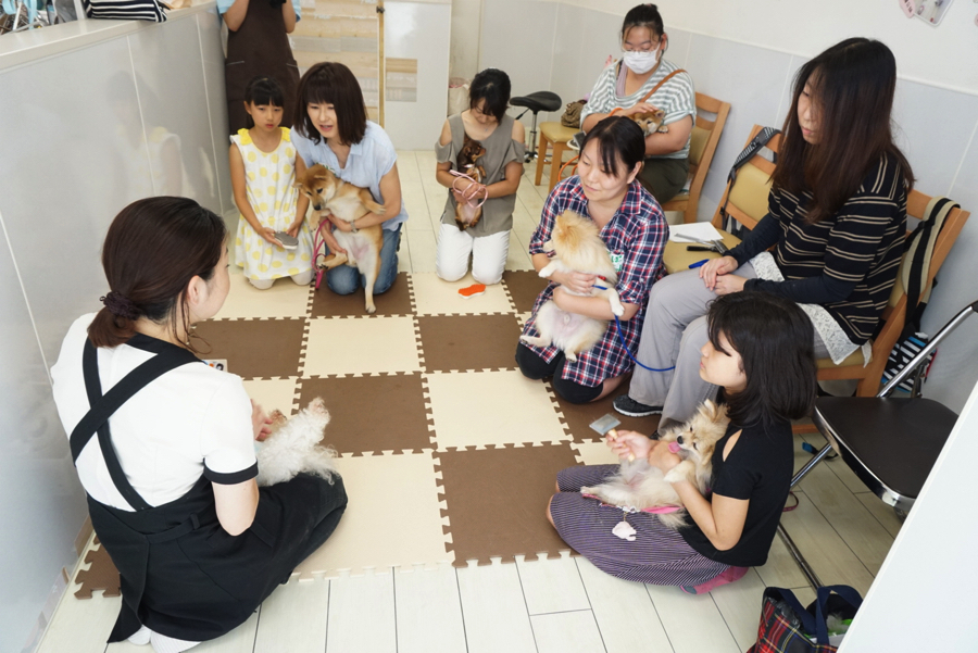 最初は椅子に座っていたみなさんも前のめりで聞き入っています! | 【パピー教室】マルワン白楽店＆大倉山店合同イベント!アニコムパピー教室