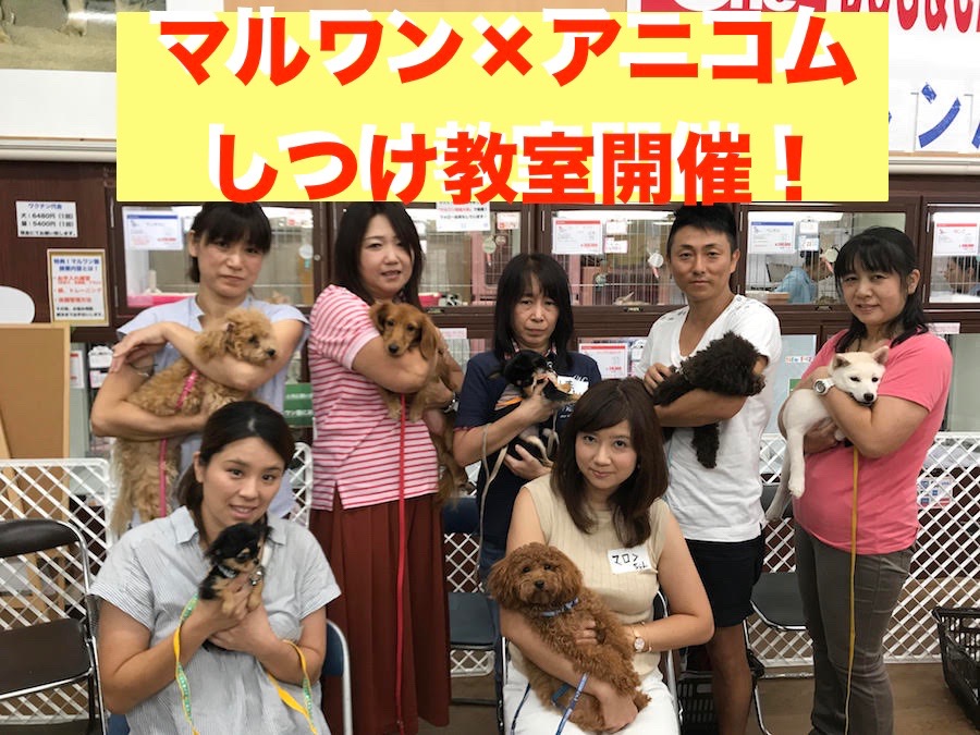 【しつけ教室】マルワン×アニコム合同イベント！相模大塚店報告レポート！