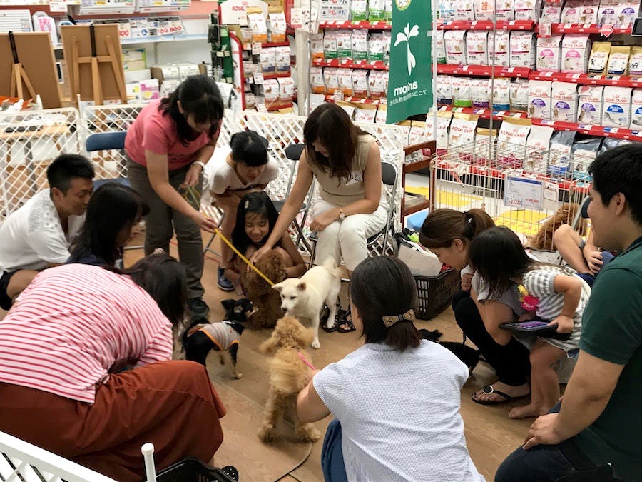 みんなでこんにちは～♪ - マルワン相模大塚店 | 【しつけ教室】マルワン×アニコム合同イベント！
