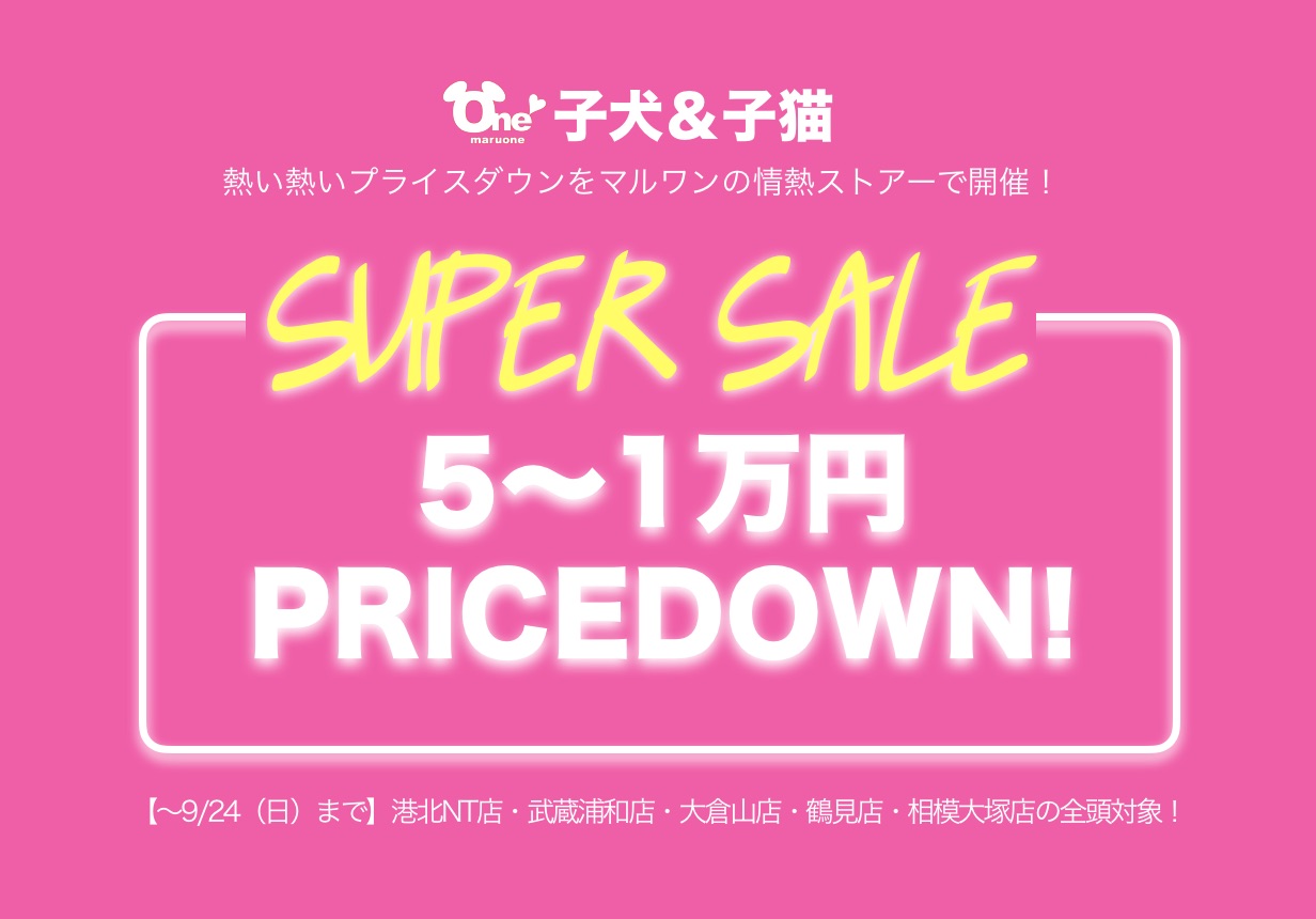 【スーパーセール6店舗追加開催！】港北NT店・武蔵浦和店・大倉山店・鶴見店・相模大塚店・下丸子店！