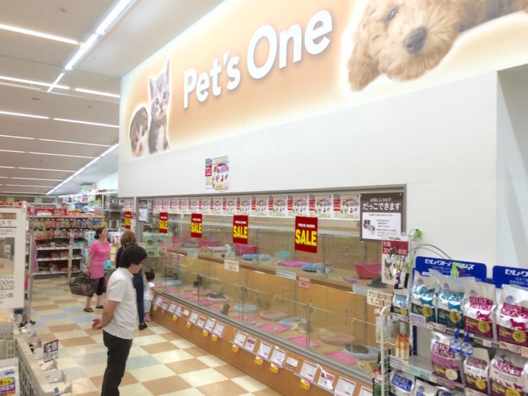 >城山店 | 【スーパーセール追加開催!】白楽店・城山店・本羽田店・志村坂下店