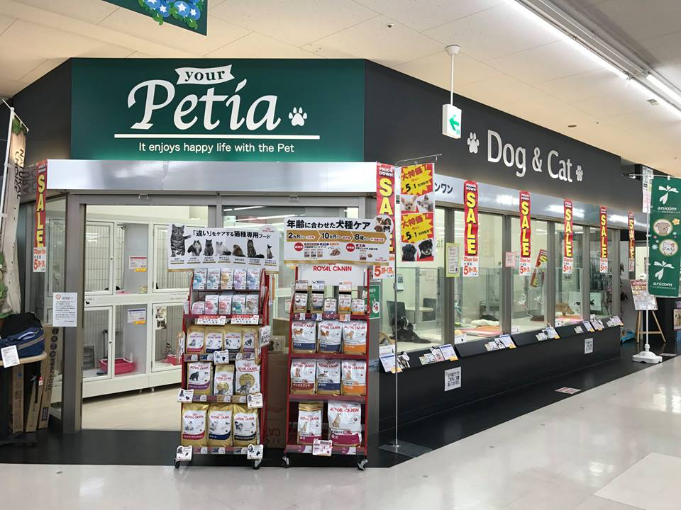 本羽田店 | 【スーパーセール追加開催!】白楽店・城山店・本羽田店・志村坂下店