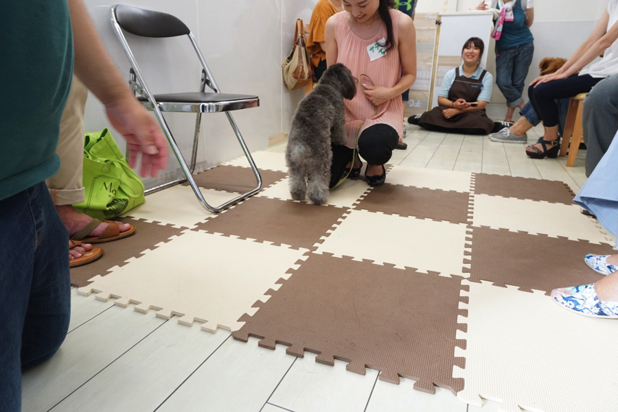だいすきなママ(と、おやつ)♥ | 【パピー教室】マルワン白楽店＆大倉山店合同イベント!アニコムパピー教室午後の部