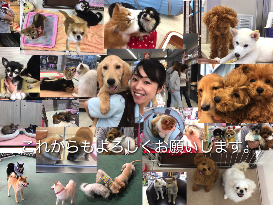 【大倉山店特別号！】ブログ100記事突破記念！大倉山店のオリジナルトレーニング＆サポート一挙公開！