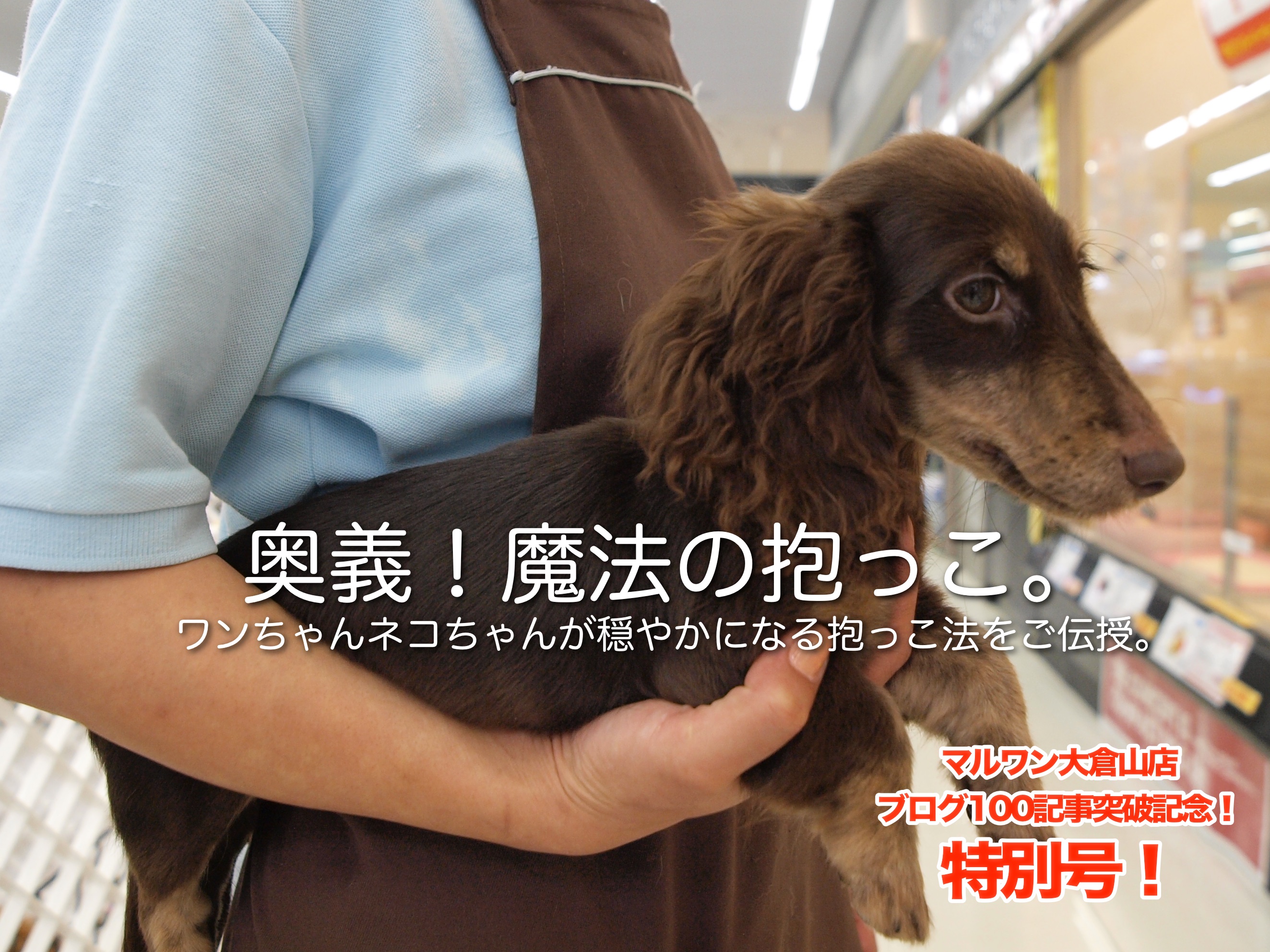 【大倉山店特別号！】ブログ100記事突破記念！大倉山店のオリジナルトレーニング＆サポート一挙公開！