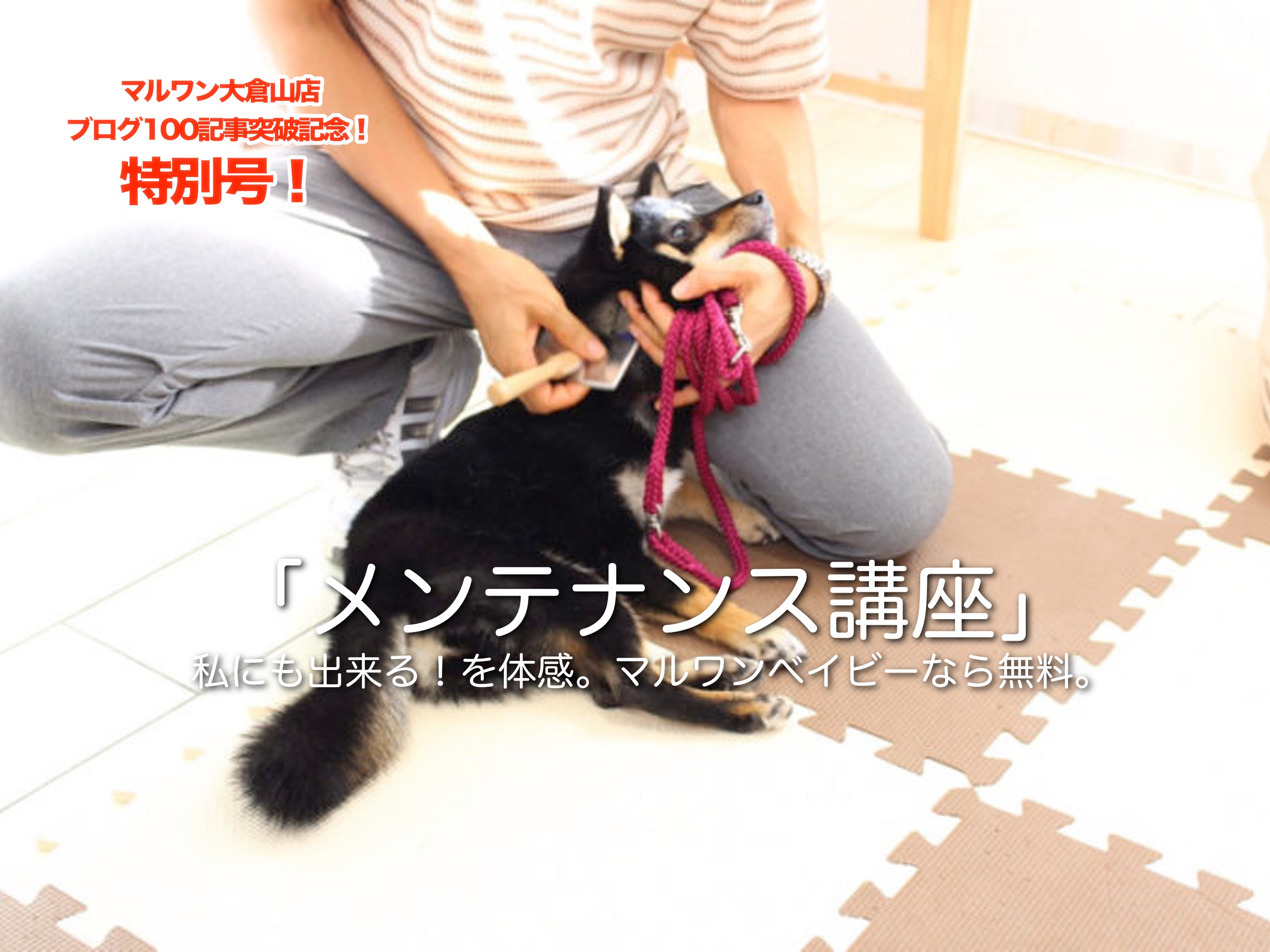 【大倉山店特別号！】ブログ100記事突破記念！大倉山店のオリジナルトレーニング＆サポート一挙公開！