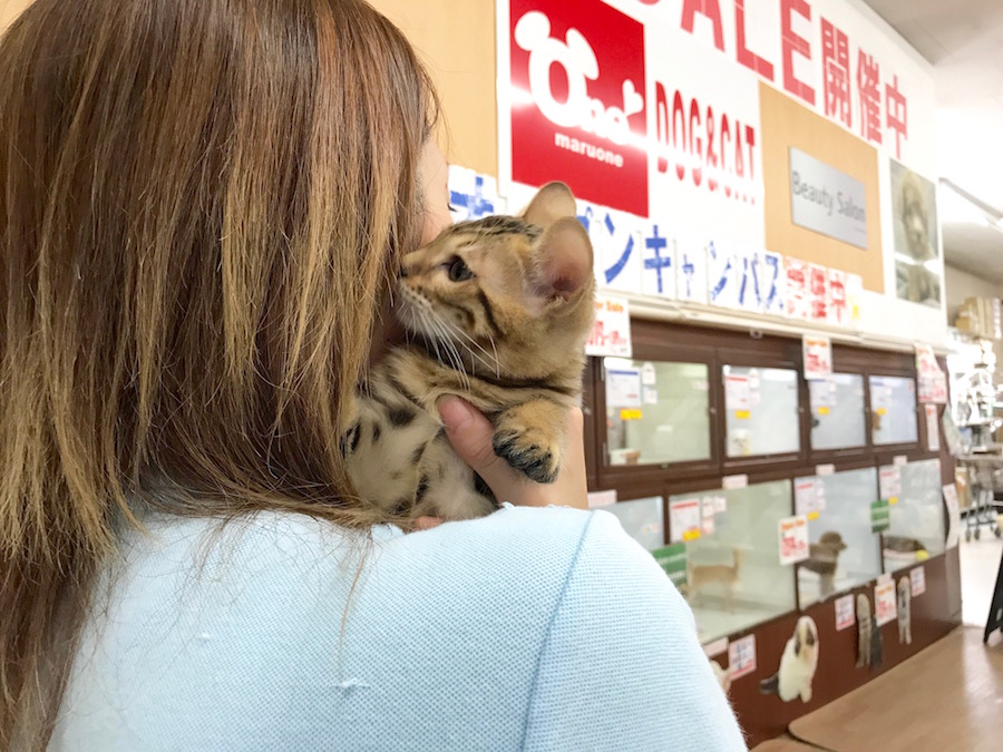ベンガル - マルワン相模大塚店