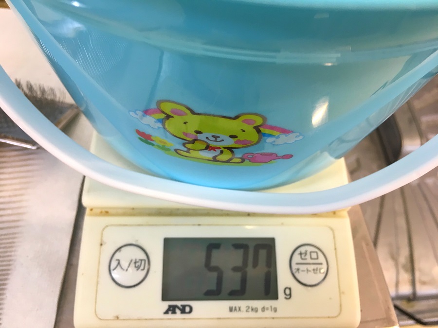 ヨークシャーテリア - ペッツワン城山店