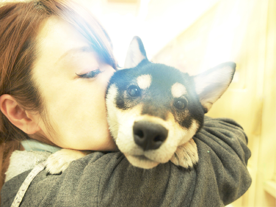 【大倉山店スタッフ募集！】あなたの動物愛をマルワン大倉山店で活かすチャンス！