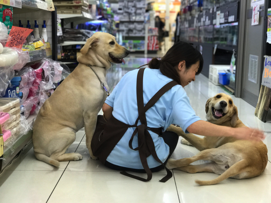 【大倉山店スタッフ募集！】あなたの動物愛をマルワン大倉山店で活かすチャンス！