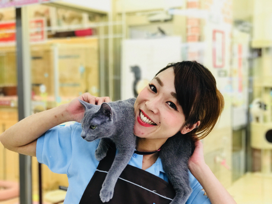 猫島のネコちゃん達はこんな人におすすめ!