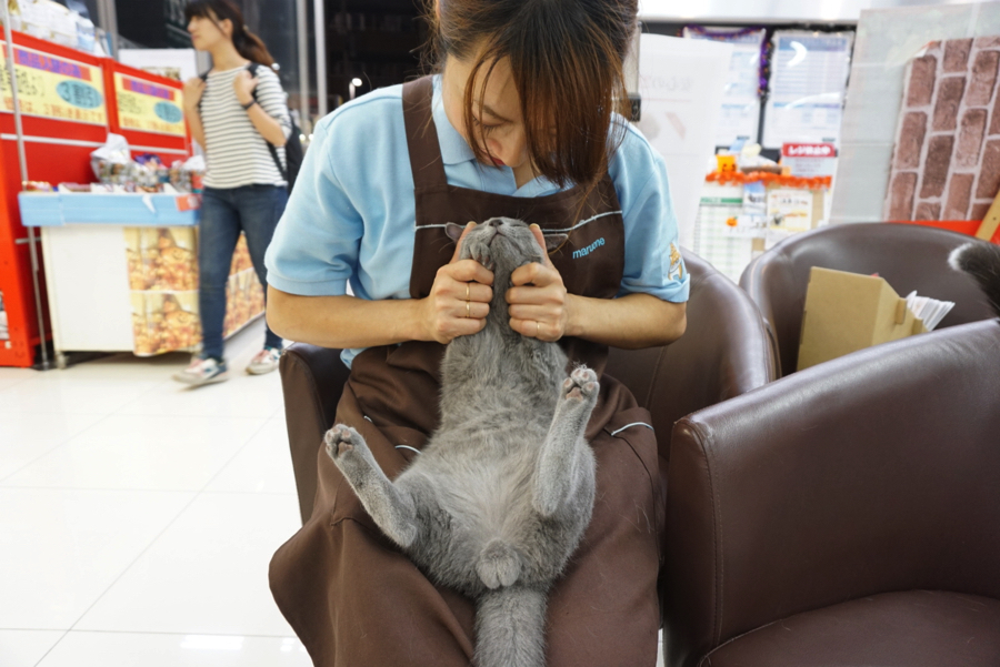 皆のことが好き | ペットショップ マルワン大倉山 神奈川県横浜市港北区