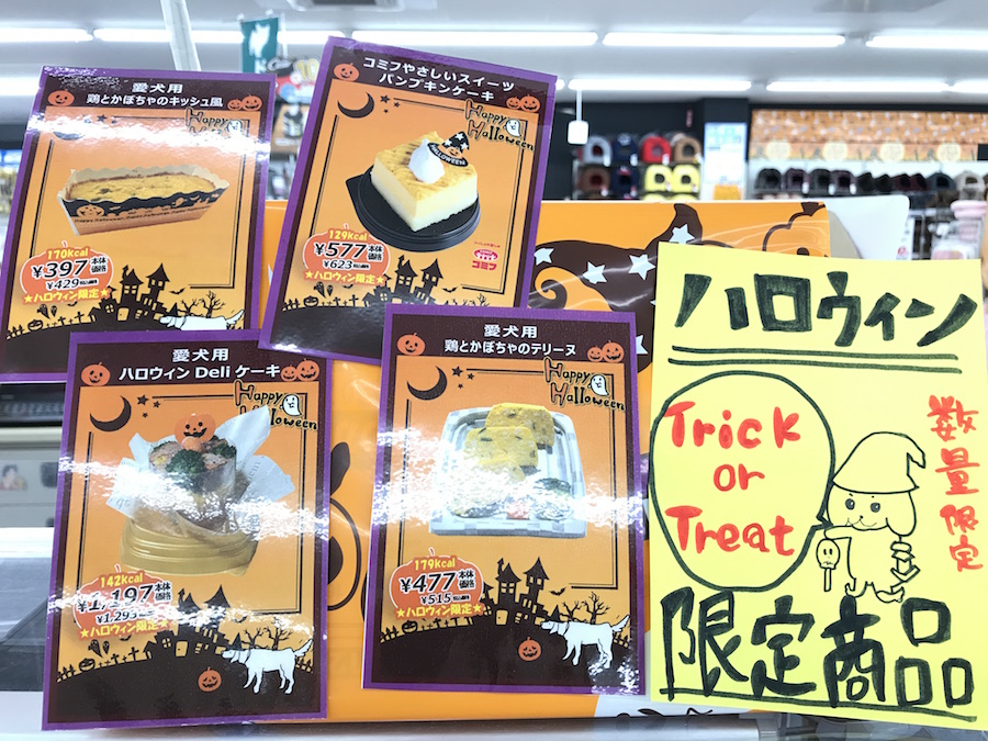 ハロウイン企画 - ペットショップ マルワン本羽田 東京都大田区