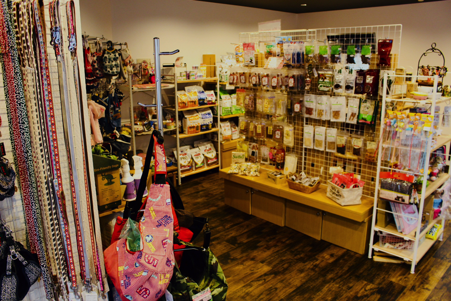 ペットショップ マルワン白楽 神奈川県横浜市 | 【店舗レビュー】リニューアルオープン！ぬくもりのある空間『新』マルワン白楽店へようこそ♪
