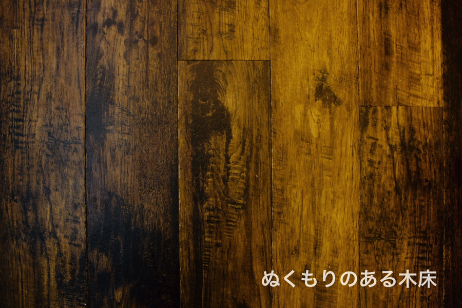ペットショップ マルワン白楽 神奈川県横浜市 | 【店舗レビュー】リニューアルオープン！ぬくもりのある空間『新』マルワン白楽店へようこそ♪