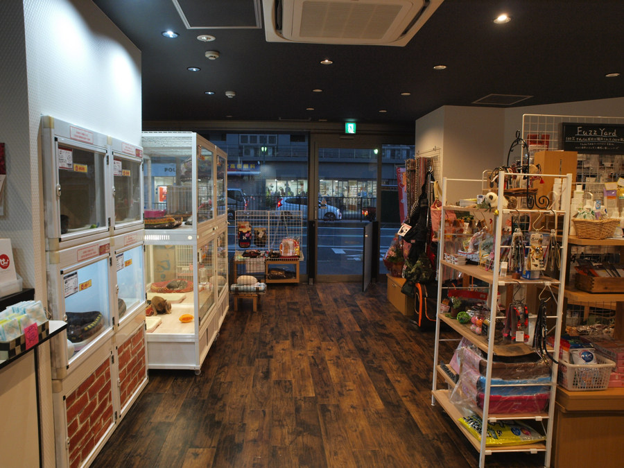 ペットショップ マルワン白楽 神奈川県横浜市 | 【店舗レビュー】リニューアルオープン！ぬくもりのある空間『新』マルワン白楽店へようこそ♪