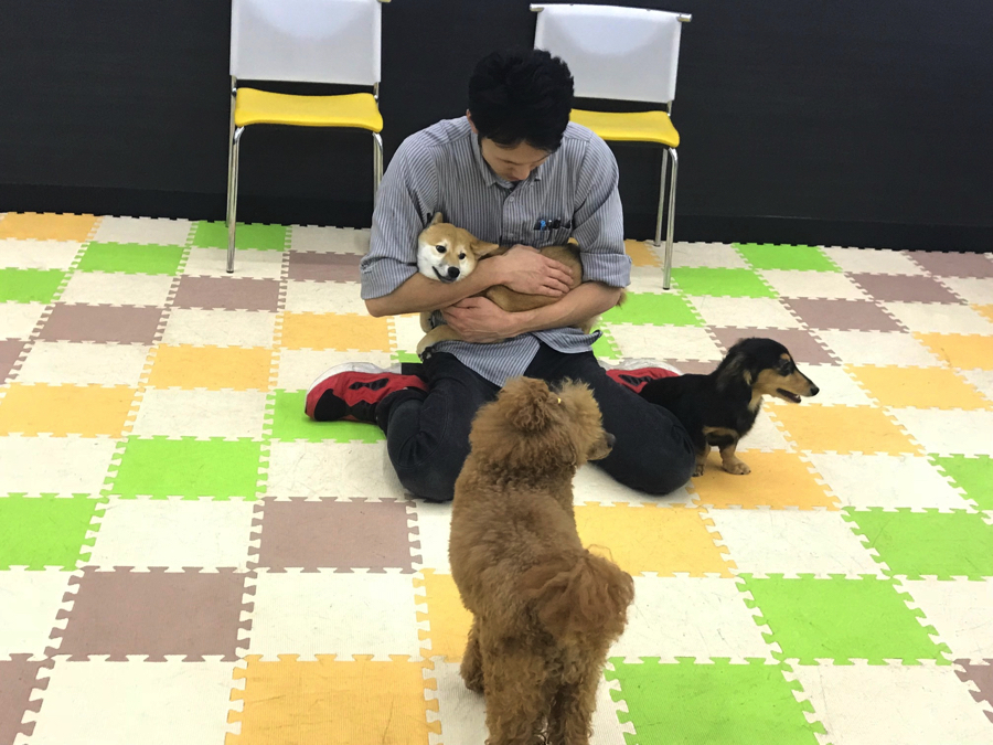 社会化のお勉強とは? - ペットショップ マルワン鎌ヶ谷 千葉県鎌ヶ谷市