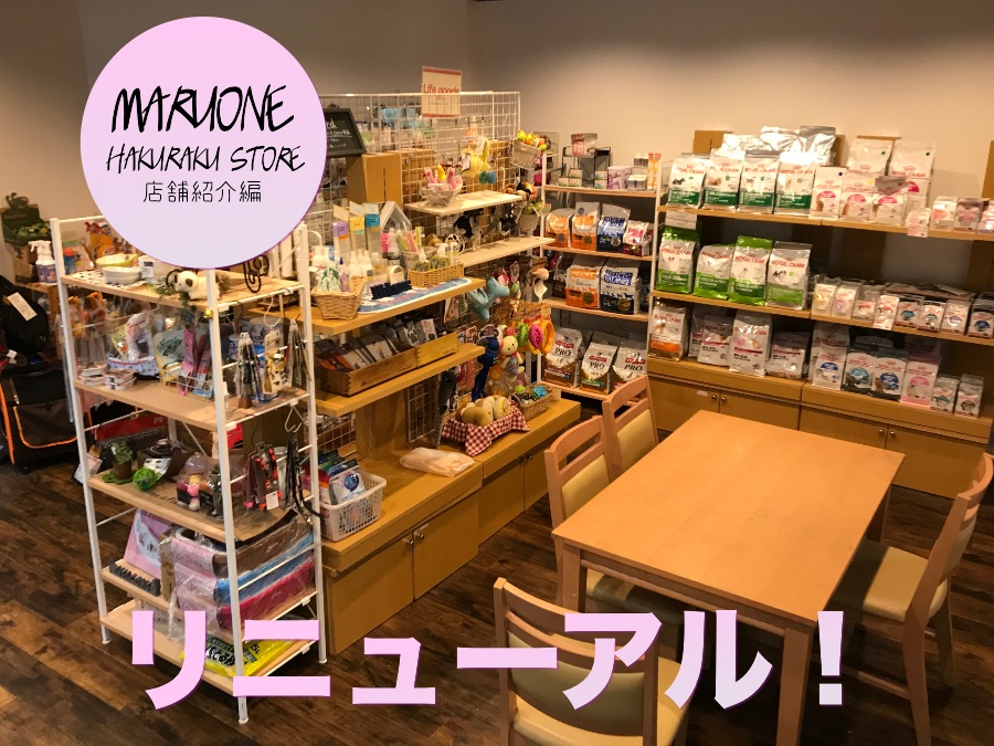 【店舗レビュー】リニューアルオープン！ぬくもりのある空間『新』マルワン白楽店へようこそ♪