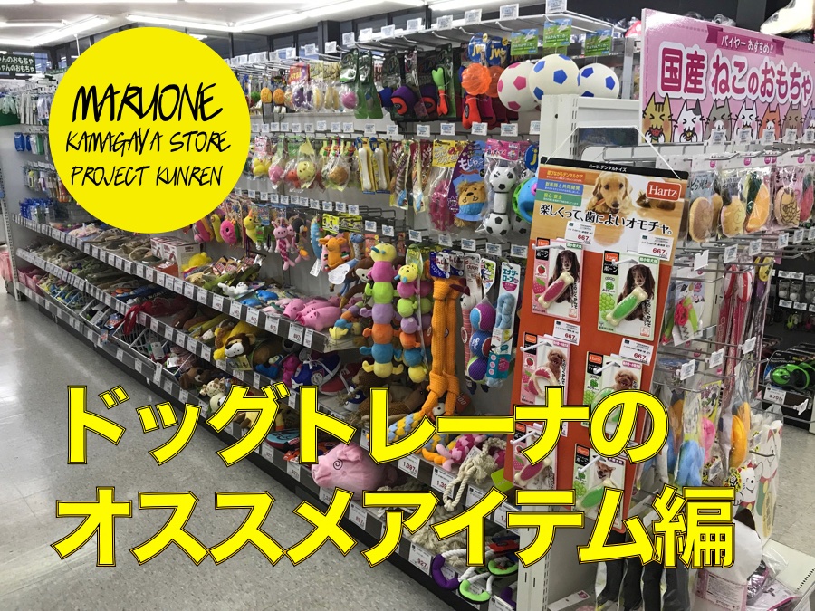 【わんこの用品】ドッグトレーナーオススメ商品編：鎌ヶ谷店 PROJECT KUNREN Vol.11