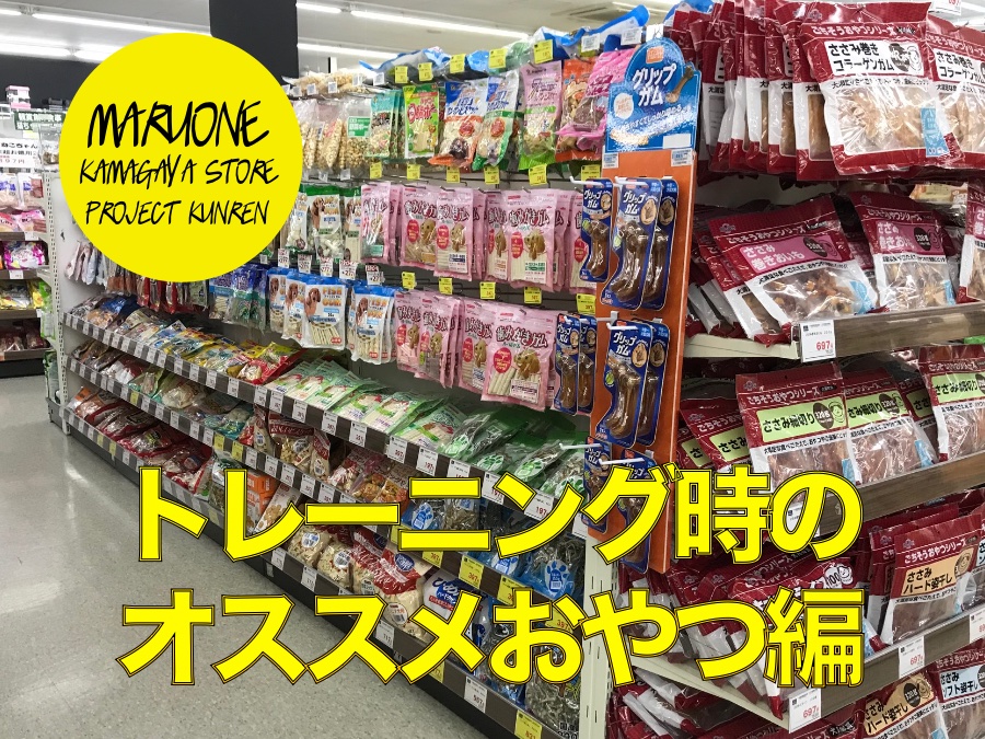 【お役立て情報】ドッグトレーナー推奨のおやつとは？：鎌ヶ谷店PROJECT KUNREN Vol.12