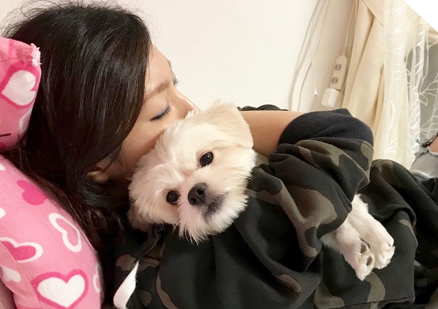 【愛犬物語】相模大塚店スタッフの愛犬物語第3弾！〜木野内＆モカ、ラテ編〜