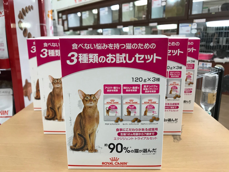 ロイヤルカナン社のエクシジェントシリーズ | スコティッシュ・フォールド - ペットショップ マルワン相模大塚 神奈川県大和市