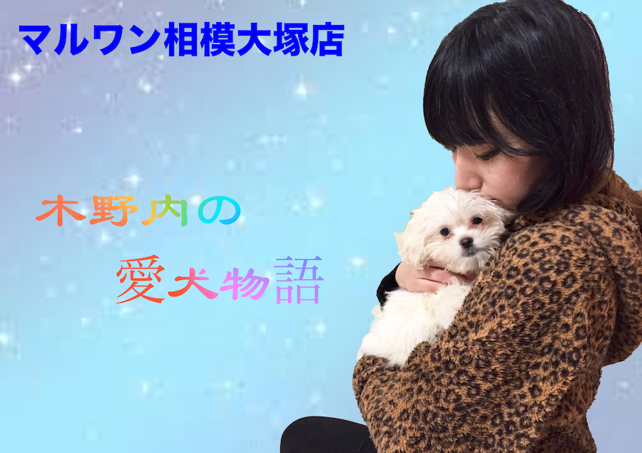 【愛犬物語】相模大塚店スタッフの愛犬物語第3弾！〜木野内＆モカ、ラテ編〜