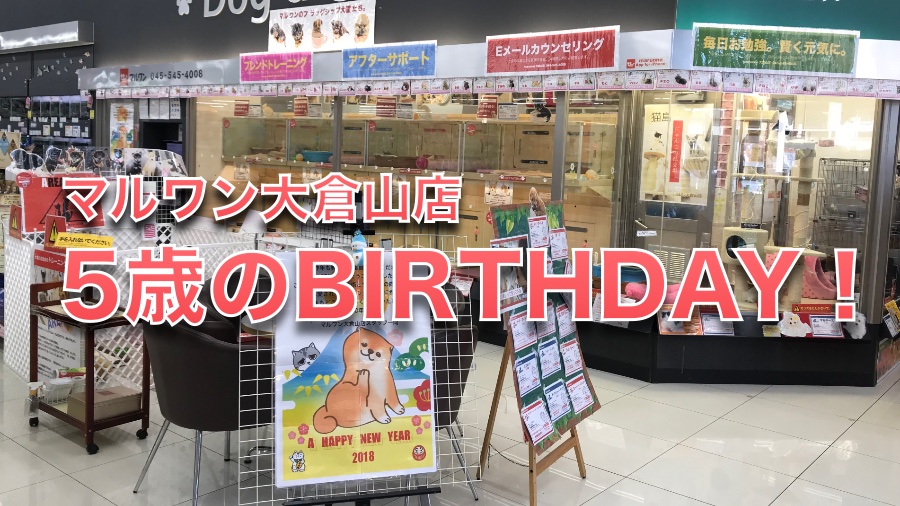 祝!!マルワン大倉山店5歳のお誕生日!!