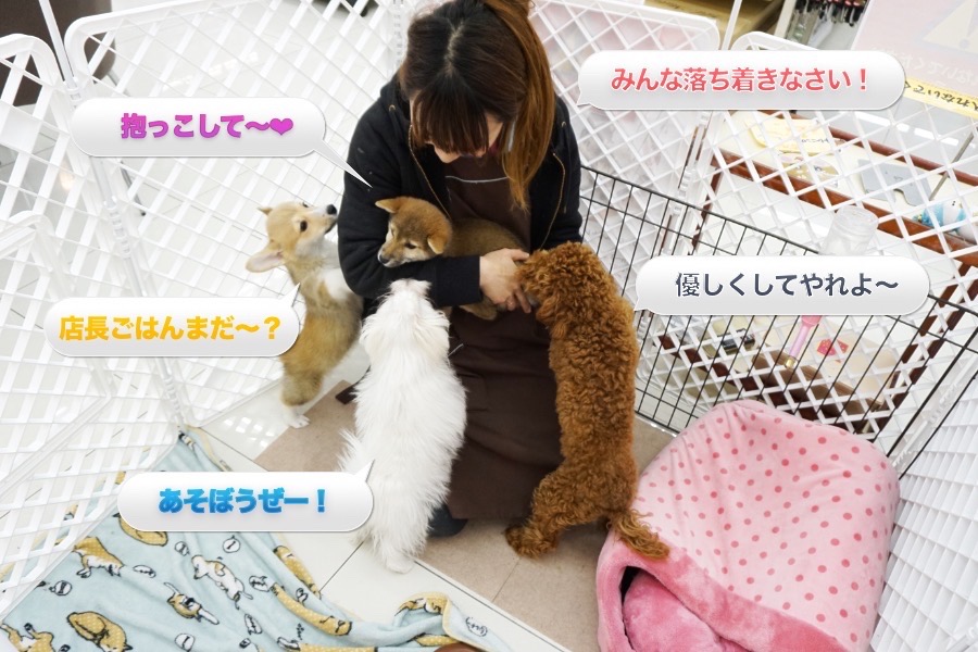 125フレンドトレーニング - ペットショップ マルワン大倉山 神奈川県横浜市港北区