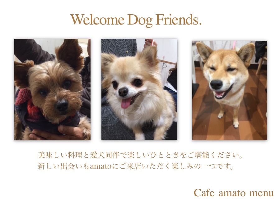 毎日たくさんのワンコたちが遊びに来てくれています - 川崎市 YourPetia王禅寺店