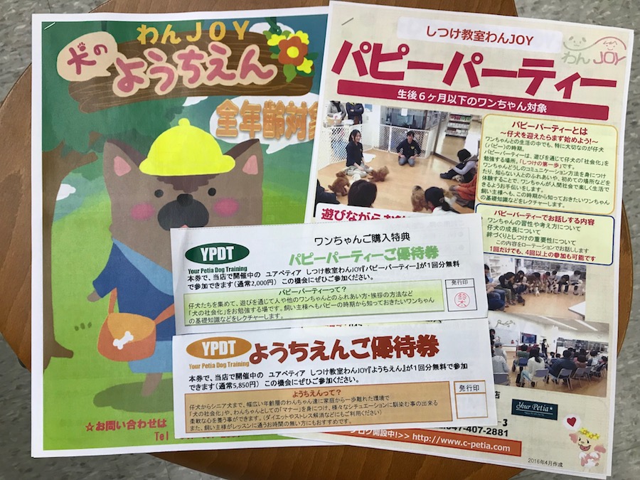 「パピーパーティー」と「犬の幼稚園」の参加無料券を2枚ずつプレゼント - ペットショップ マルワン鎌ヶ谷 千葉県鎌ヶ谷市