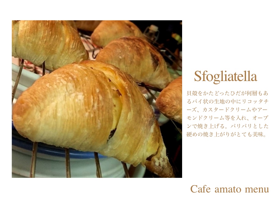 スフォリアテッラ - 川崎市 YourPetia王禅寺店