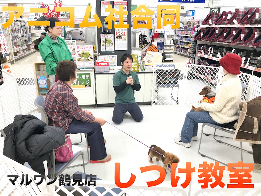 【しつけ教室】マルワン×アニコム合同イベント！鶴見店報告レポート！