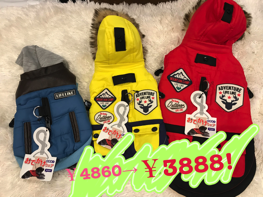 冬服全品20%OFF | 【コーディネート】冬服ブランドセール開催中!:白楽店発