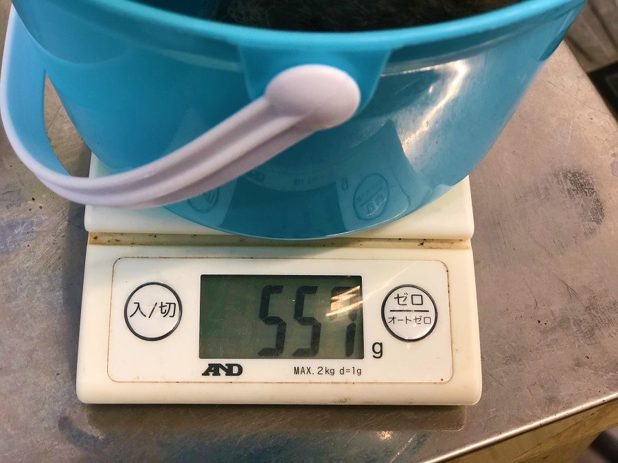驚きの体重557g（2/24測定） | ポメラニアン - ペットショップ ペッツワン城山 神奈川県相模原市
