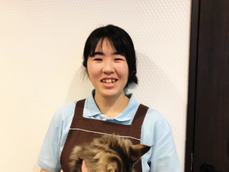 一生懸命トリミングに臨む姿が好印象:飯島 | 【トリマー紹介】技術と知識を誇る白楽店のトリマーを徹底解析!:白楽店トリミング通信vol.13